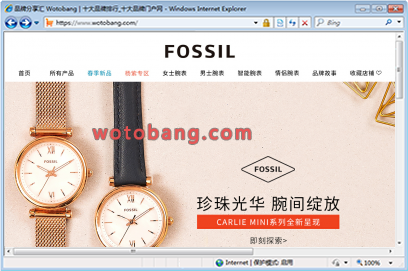 FOSSIL官方旗舰店