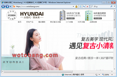 hyundai现代电器专卖店