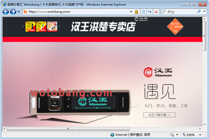 汉王洪楚专卖