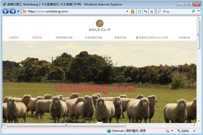 GOLDCLIP海外旗舰店