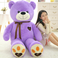 紫色小熊娃娃