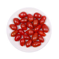 小汤山西红柿