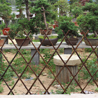 竹篱笆栅栏围栏