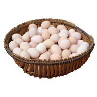 散养山鸡蛋
