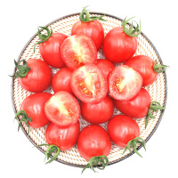 新鲜静冈番茄