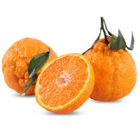 不知火丑柑非橘子