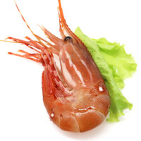 日料加拿牡丹虾刺身