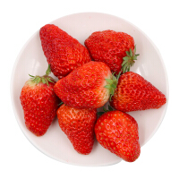 水果红颜草莓