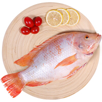 禧美海产红鱼切段