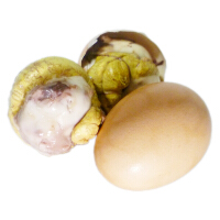 鸡胚蛋