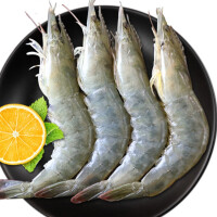 厄瓜多尔海鲜白虾