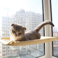猫猫吊床