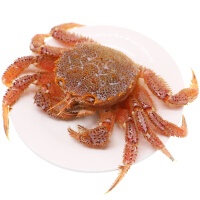 聚福鲜螃蟹