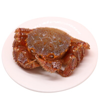 御鲜轩螃蟹肉