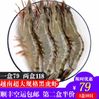 斑节海虾