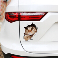 猫咪车贴