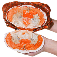 鲜博汇大螃蟹
