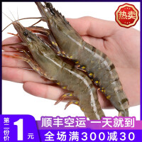 冷冻斑节虾