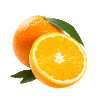 原味邦橙子