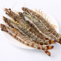 新鲜海鲜九节虾