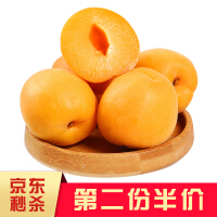 大果蜜大黄杏