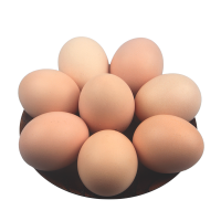 九华粮品柴鸡蛋