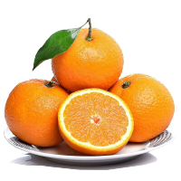 武城馆柑橘