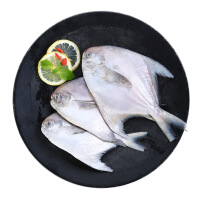 霍小鲜银鲳鱼条