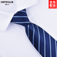 职业条纹领带