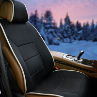 车坐垫保暖