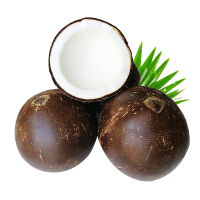 棕皮老椰子