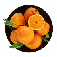 橘子家的果园水果