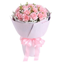 粉色康乃馨花束