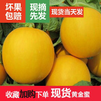 新鲜黄金蜜角