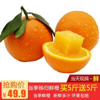 四川水果脐橙