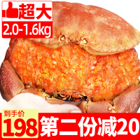 鲜活海鲜面包蟹