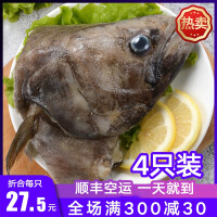 深海鱼王鲽鱼