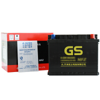 GS汽车电瓶蓄电池