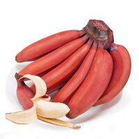 非红蕉