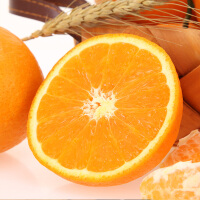 精品橘子