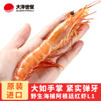 火锅大红虾刺身