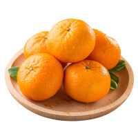 鲜菓篮柑橘