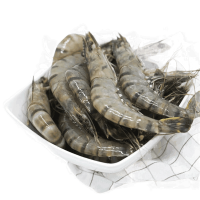 越南斑节虎虾头