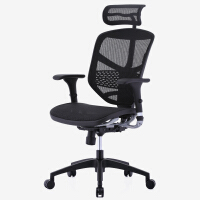 达宝利（Ergonor）电脑椅