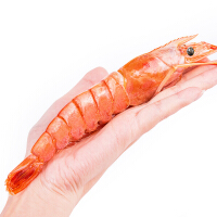 进口海鲜红虾年货
