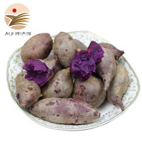 红珍珠紫薯