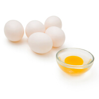 精品蛋