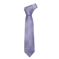 紫色正装领带