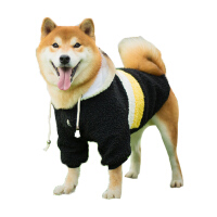 萨摩耶犬衣服