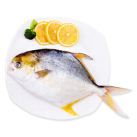 鲜海鲜金鲳鱼条